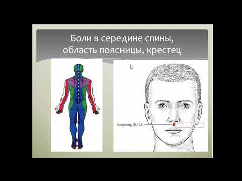 Иглоукалывание одной иглой, законы течения энергии דיקורסיני למומחים בשיטת מאסטר טונג עם מחט אחד