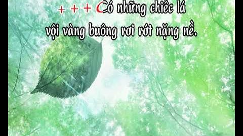 Đời Người Chiếc Lá - karaoke playback - http://songvui.org