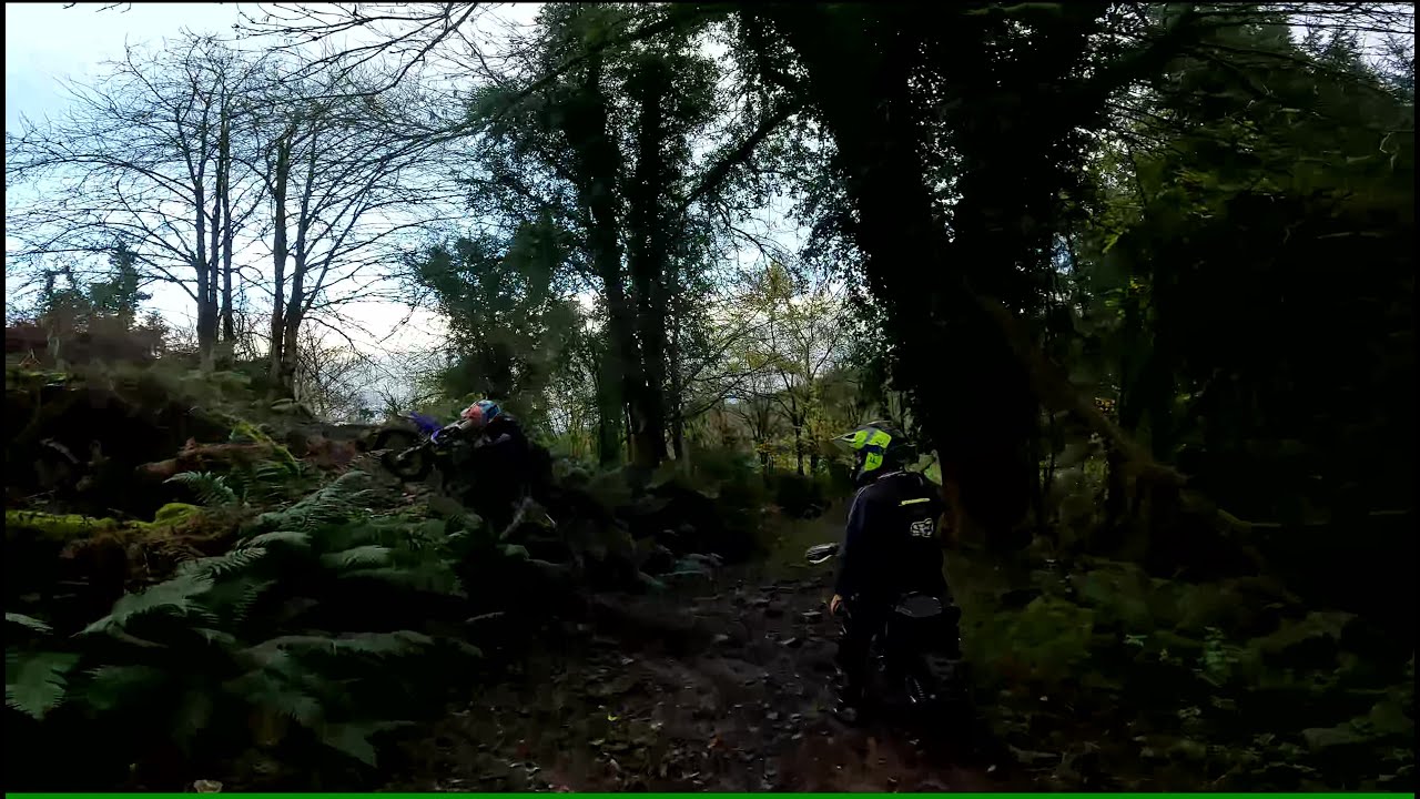 start of the wet weather forest trails