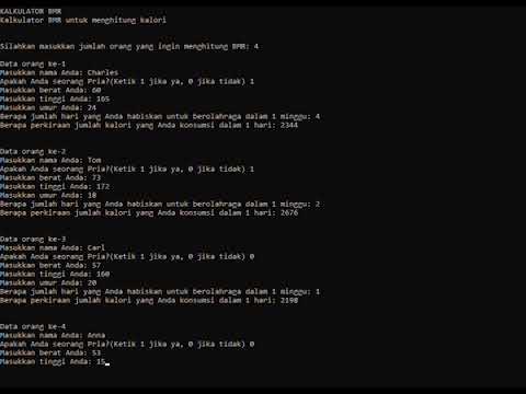 BMR Calculator Demo Program (C++)