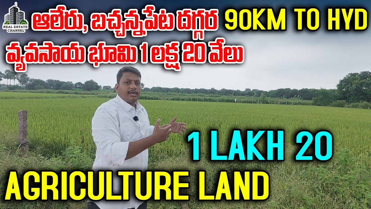 Agriculture Land at Bachannapet 1 lakh 20k | Aleru,Jangaon | ఆలేరు ,బచ్చన్నపేట దగ్గర వ్యవసాయ భూమి