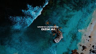 Mweya Mutsvene Dzikai Let What Was Stolen Return