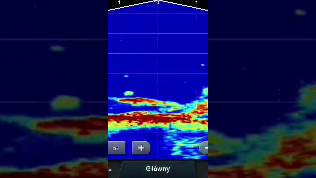 Live Fish Panoptix Livescope gls 10. Fishing with play station.  Sum wels silure Fishing Hobby