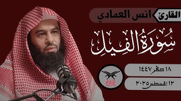 انس العمادي | سورة الفيل كامله | ١٢ أغسطس ٢٠٢٥ | صلاة المغرب