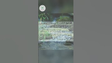سورة البقرة  الشيخ محمد الفقيه  #اكسبلور #forupage #quran #love #تيك_توك #quotes #peace #dosa #duet