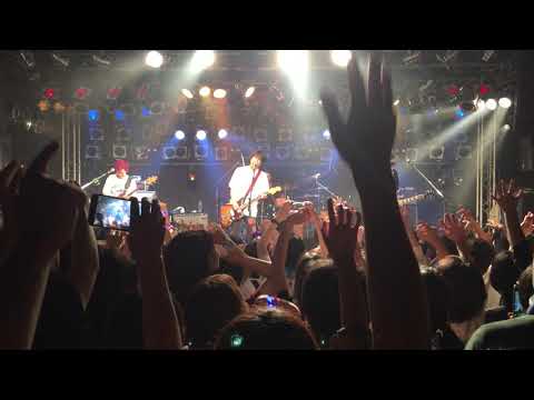 LUNKHEAD カナリアボックス （名古屋 ell.FITS ALL）
