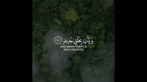 القرآن الكريم | يَا أَيُّهَا النَّاسُ أَنتُمُ الْفُقَرَاءُ إِلَى اللَّهِ | سورة فاطر