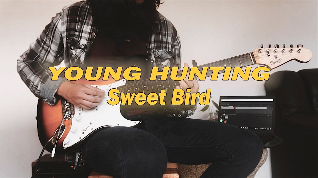 Sweet Bird Young Hunting (Fingerstyle Cover) YouTube
