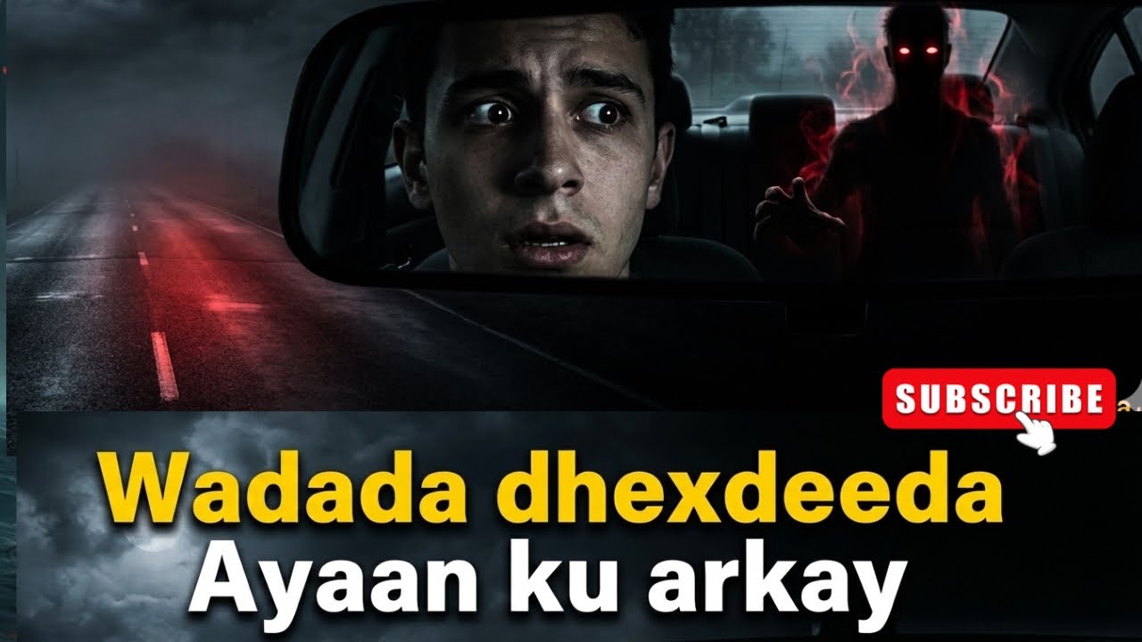 Waxaan Wadada Ku Dhex Arkay Noole Cabsi Badan 