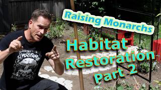Raising Monarchs - Habitat Restoration Part 2 of 3 (Help The Monarch Butterfly)
