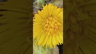 : 18  2025    ,  ,    .# #2025