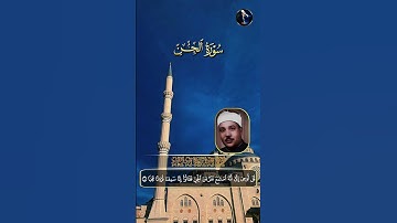 نور القران الكريم تلاوات خشعة #تيك_توك