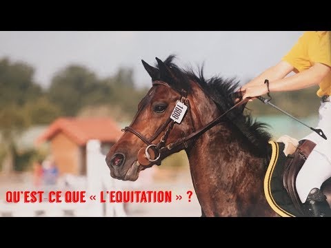 Vidéo: Qu'est-ce que l'équitation?