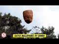 Misteri Batu Terbang Dari Seluruh Dunia Yang Membuat Gempar