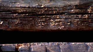 The Legacy, Big Timberworks