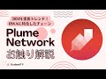 2024年重要トレンド!RWAに特化したチェーンPlume Networkをお触り解説!