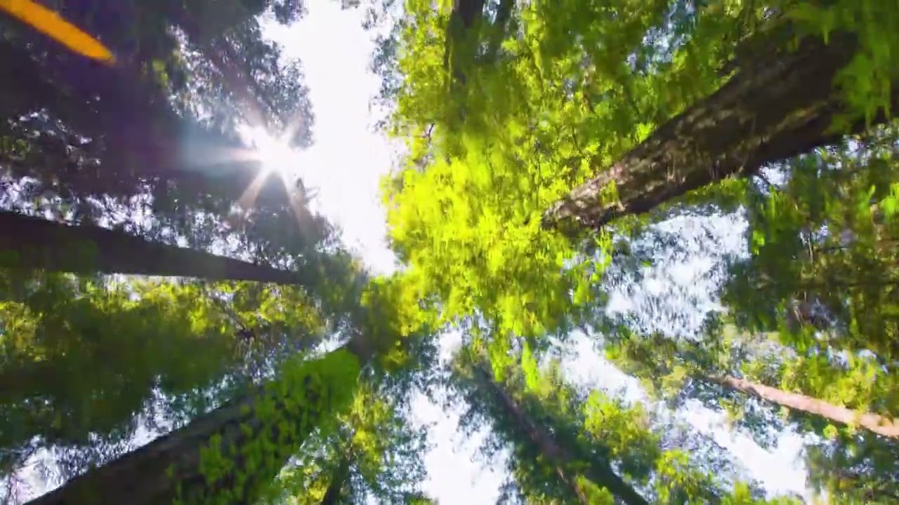 Peace dwells where time slows down