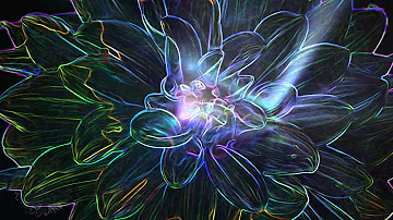 無料 動画素材 花 バラの花びら Youtube Namaewallpaper 無料 動画素材 花 バラの花びら Youtube Namaewallpaper