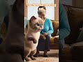 #bahrain #funny #englishalphabet #learnwithrani #cute #englishlanguage #moebh #cat #funny #viral