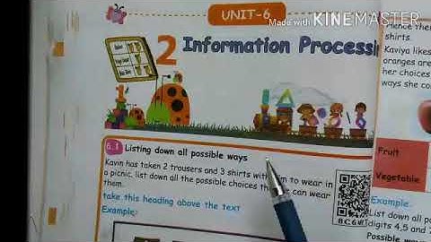 3std unit 6 - information processing