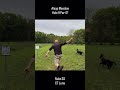 Disc Golf at Alsop Meadow - Hole 9 #discgolf #dog