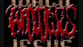Watch Waco Jesus Cadaveric Mutilation video