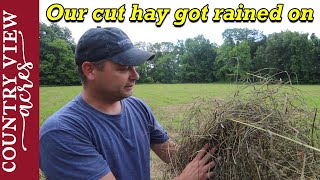 The Weather Changed and the Hay Field Got Rained on, a lot!