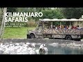 Kilimanjaro Safaris FULL RIDE at Disney's Animal Kingdom Walt Disney World