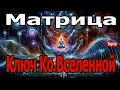 Матрица Гаряева: Ключ ко Вселенной 