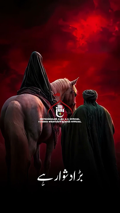 Muharam 1447 status | Sham | Zindan | Shia status | BiBi Sakina s.a | Shia whatsapp status official.