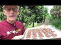 High Energy Healthy Raw Vegan Cookies For Adults And Kids