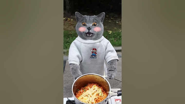 😍Sharing Tasty Turkey Noodles With The | Don't Waste🥞 FoodHungry!#catvideos#catmemes #trending
