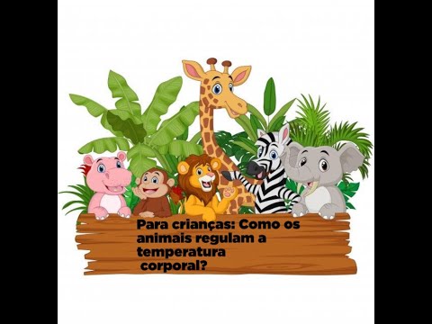 Vídeo: Temperaturas Congelantes, Fontes De Calor E Exposição A Toxinas Representam Perigos Para Animais De Estimação Durante Os Meses De Inverno