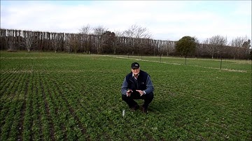 Soil moisture status in winter (Part 1)