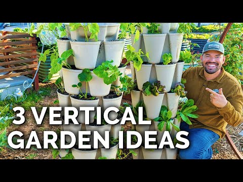 Grow THESE 3 Veggies in Your Vertical Garden