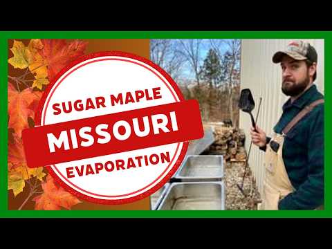 How to Boil Maple Sap Into Syrup | Evaporation, Finishing & Testing for Doneness