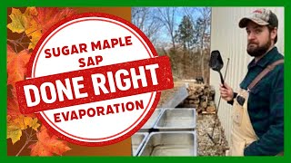 Celebrity How to Boil Maple Sap Into Syrup | Evaporation, Finishing & Testing for Doneness Wealth
