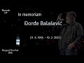 In memoriam Đorđe Balašević  (11. 5. 1953. — 19. 2. 2021.)