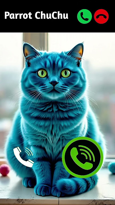 cat calling 😎 #ringtone #smartphone #music #ringtones #song #cat #ringintone #funny