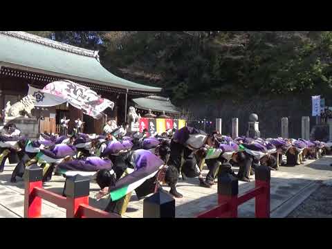 香川大学よさこい連風華　龍馬よさこい18　龍馬演舞場