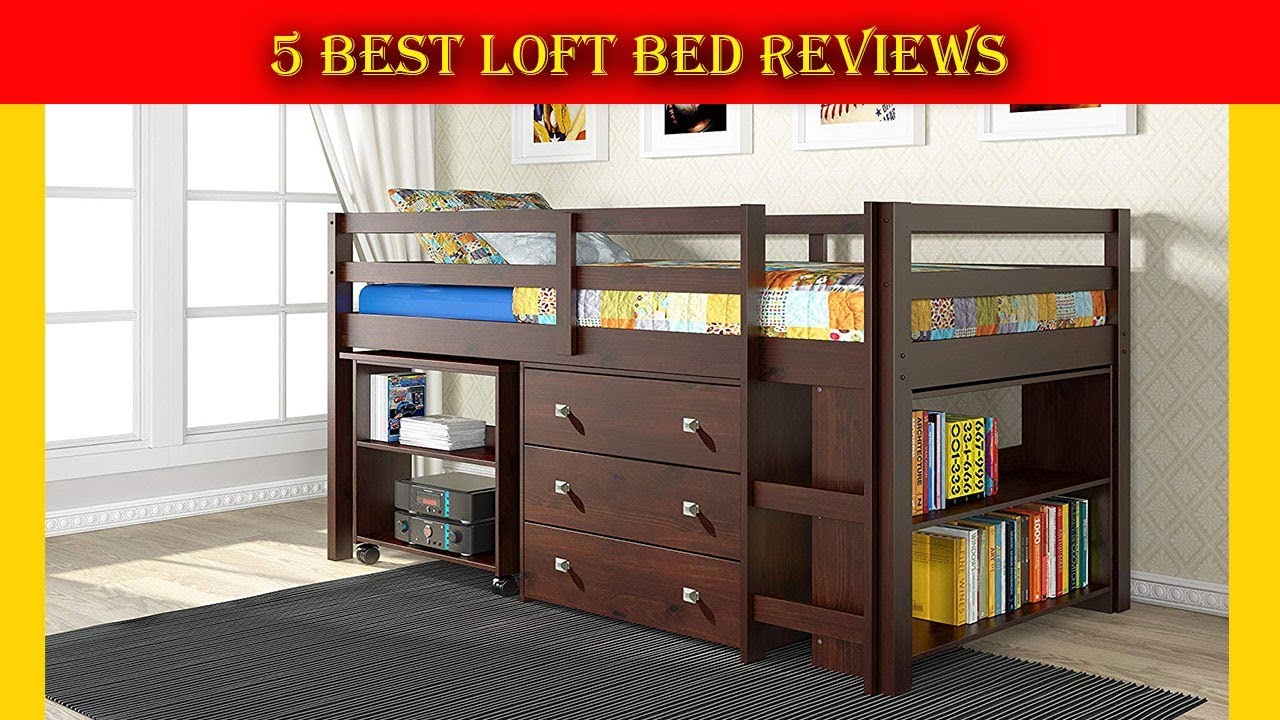 5 Best Loft Bed Reviews