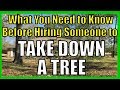 What to Know BEFORE Hiring a Tree Removal Company or Person