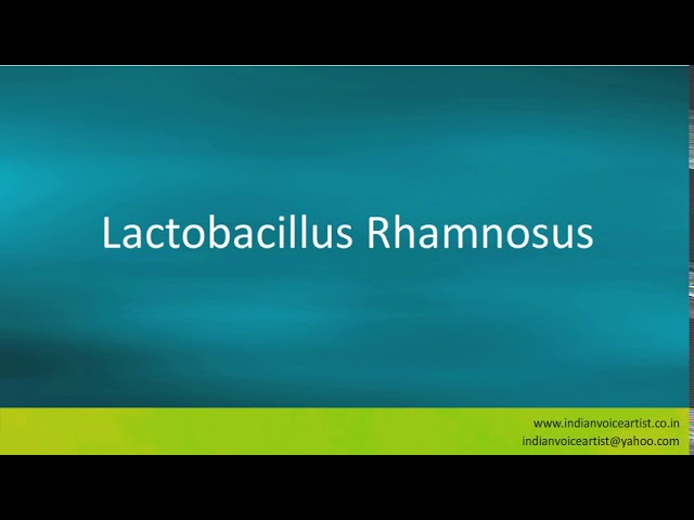 Pronunciation of the word(s) Lactobacillus Rhamnosus. 