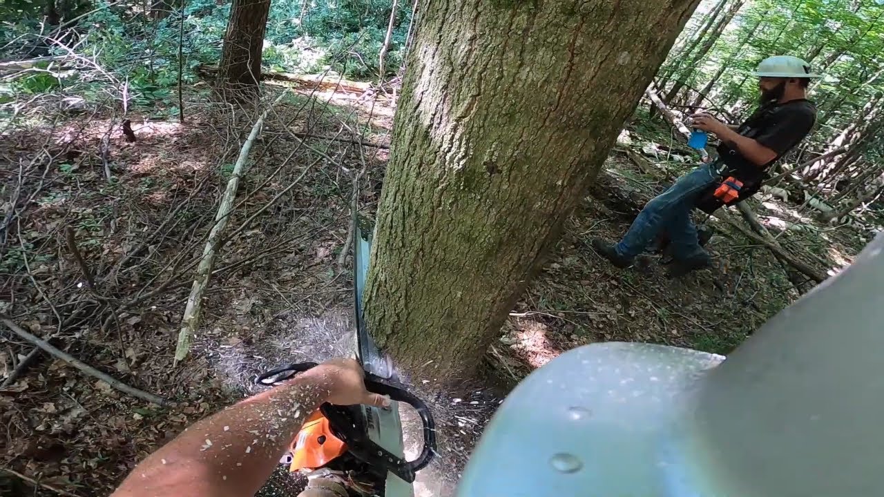 Master Firewood Gathering with Epic Chainsaw Hacks! - YouTube