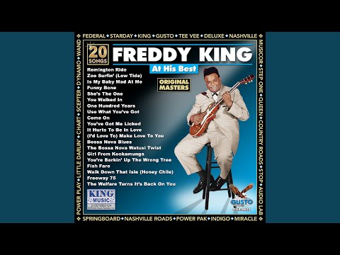 Putar Zoo Surfin' (Low Tide) - Freddy King