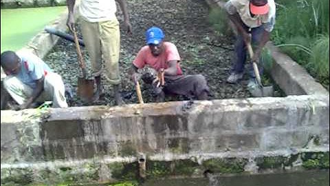 Renovating a Tropical Horizontal Subsurface Flow Constructed Wetland