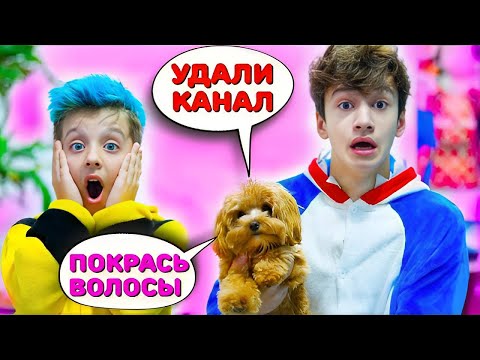 Видео: Собака Управляет Нашей Жизнью 24 Часа!