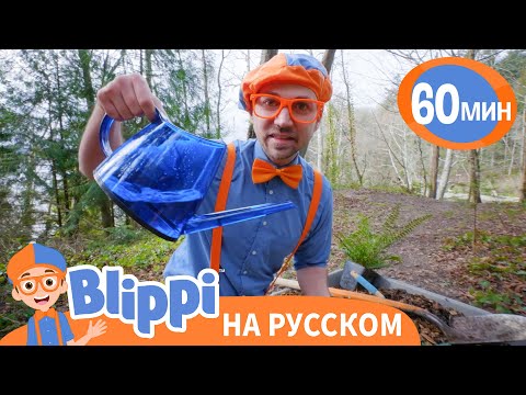 🌍Берегите Нашу Планету🌍 | Обучающие песни для детей | Blippi Russian