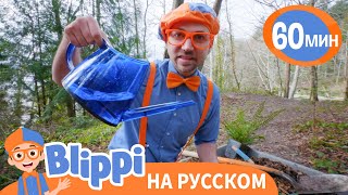 🌍Берегите Нашу Планету🌍 | Обучающие Песни Для Детей | Blippi Russian