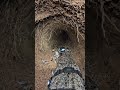 African Wildcat POV: Exploring a Buried World Beneath the Savanna